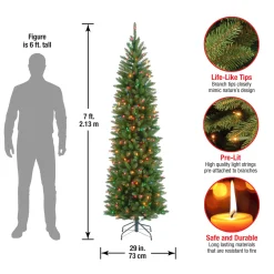 Best National Tree Company 7 ft. Pre-Lit Kingswood Fir Pencil Tree with Multicolor Lights