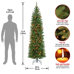 Discount National Tree Company 7.5 ft. Pre-Lit Kingswood Fir Pencil Tree with Multicolor Lights