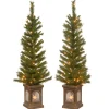 Sale National Tree Company 4 ft. Pre-Lit Leigh Valley Tree Set with Clear Lights