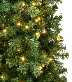 Sale National Tree Company 6 ft. Pre-Lit Linden Spruce Slim Tree with Warm White LED Lights