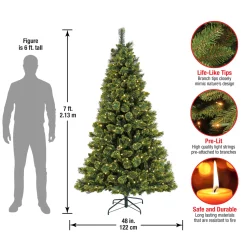 Hot National Tree Company 7 ft. Pre-Lit Maine Pine Tree with LED Lights