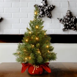 Clearance National Tree Company 2 ft. Pre-Lit Majestic Fir Tree with Clear Lights, Burgandy Base