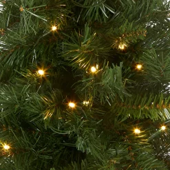 Best National Tree Company 2 ft. Pre-Lit Majestic Fir Tree with LED Lights, Red Base
