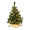 Best National Tree Company 2 ft. Pre-Lit Majestic Fir Tree with Clear Lights, Gold Base
