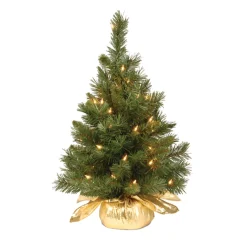 Best National Tree Company 2 ft. Pre-Lit Majestic Fir Tree with Clear Lights, Gold Base