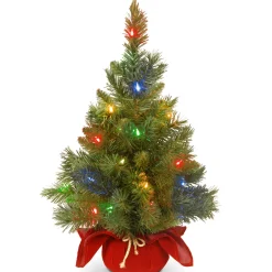 Online National Tree Company 2 ft. Pre-Lit Majestic Fir Tree with Multicolor LED Lights, Red Base