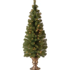 Hot National Tree Company 4 ft. Pre-Lit Montclair Spruce Tree with Clear Lights