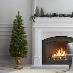 Hot National Tree Company 4 ft. Pre-Lit Montclair Spruce Tree with Clear Lights