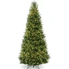 Best National Tree Company 10 ft. Pre-Lit Natural Fraser Slim Fir Tree with Clear Lights