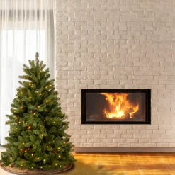 Discount National Tree Company 5 ft. Pre-Lit Newberry Spruce Tree with Clear Lights