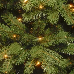 Discount National Tree Company 5 ft. Pre-Lit Newberry Spruce Tree with Clear Lights