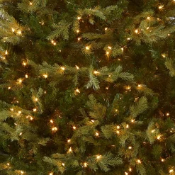 Sale National Tree Company 9 ft. Pre-Lit Nordic Spruce Medium Tree with Clear Lights