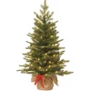 New National Tree Company 3 ft. Pre-Lit Nordic Spruce Tree with LED Lights