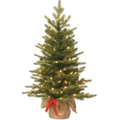 New National Tree Company 3 ft. Pre-Lit Nordic Spruce Tree with LED Lights