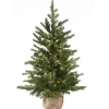 Sale National Tree Company 3 ft. Pre-Lit Nordic Spruce Tree with Clear Lights