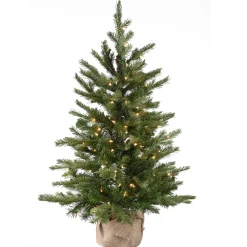 Sale National Tree Company 3 ft. Pre-Lit Nordic Spruce Tree with Clear Lights