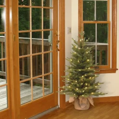Sale National Tree Company 3 ft. Pre-Lit Nordic Spruce Tree with Clear Lights