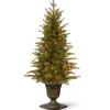Discount National Tree Company 4 ft. Pre-Lit Nordic Spruce Tree with Clear Lights