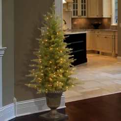 Discount National Tree Company 4 ft. Pre-Lit Nordic Spruce Tree with Clear Lights