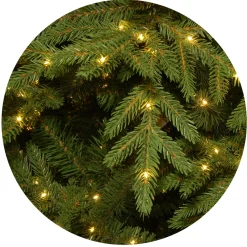 Sale National Tree Company 7.5 ft. Pre-Lit Nordic Spruce Slim Tree with Clear Lights