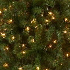 Outlet National Tree Company 5 ft. Pre-Lit North Valley Spruce Tree with Clear Lights