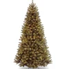 Sale National Tree Company 6 ft. Pre-Lit North Valley Spruce Tree with Clear Lights