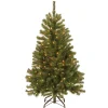 Discount National Tree Company 4.5 ft. Pre-Lit North Valley Spruce Tree with Clear Lights