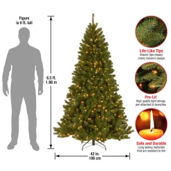Online National Tree Company 6.5 ft. Pre-Lit North Valley Spruce Tree with Clear Lights