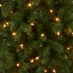 National Tree Company 7.5 ft. Pre-Lit North Valley Spruce Pencil Slim Tree with Clear Lights