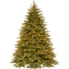 Online National Tree Company 7.5 ft. Pre-Lit Northern Fraser Tree with Clear Lights