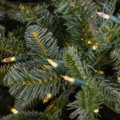 Hot National Tree Company 10 ft. Pre-Lit Norway Spruce Hinged Tree with Warm White LED Lights