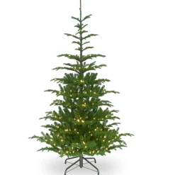 Discount National Tree Company 6.5 ft. Pre-Lit Norwegian Spruce Tree with Clear Lights
