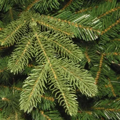 Discount National Tree Company 6.5 ft. Pre-Lit Norwegian Spruce Tree with Clear Lights