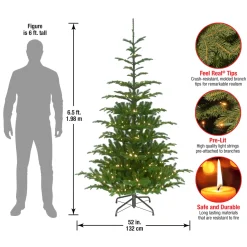 Discount National Tree Company 6.5 ft. Pre-Lit Norwegian Spruce Tree with Clear Lights