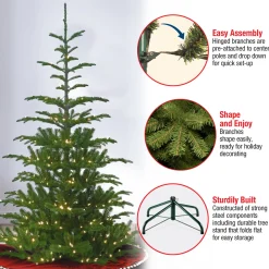 Discount National Tree Company 6.5 ft. Pre-Lit Norwegian Spruce Tree with Clear Lights