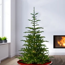 Discount National Tree Company 6.5 ft. Pre-Lit Norwegian Spruce Tree with Clear Lights