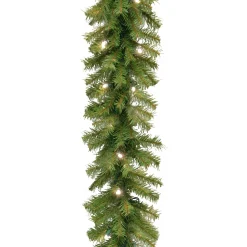 Best National Tree Company 9 ft. Pre-Lit Norwood Fir Garland with LED Lights