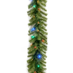 National Tree Company 9 ft. Pre-Lit Norwood Fir Garland with Dual Color LED Lights