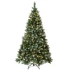 Sale National Tree Company 6 ft. Pre-Lit Oakley Hills Snow Tree with Warm White LED Lights