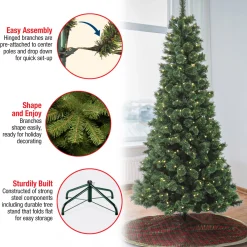 Discount National Tree Company 7.5 ft. Pre-Lit Pilchuck Pine Tree with LED Lights