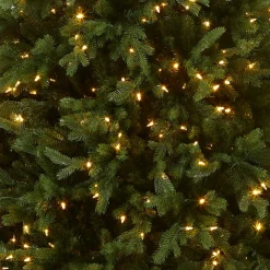 Outlet National Tree Company 7.5 ft. Pre-Lit Princeton Fraser Fir Tree with PowerConnect and 800 Dual Color LED Lights