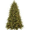 National Tree Company 7.5 ft. Pre-Lit Princeton Fraser Fir Tree with PowerConnect and 1000 Dual Color LED Lights