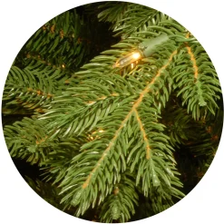 National Tree Company 7.5 ft. Pre-Lit Princeton Fraser Fir Tree with PowerConnect and 1000 Dual Color LED Lights