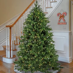 Sale National Tree Company 6.5 ft. Pre-Lit Rockport Tree with PowerConnect LED Lights