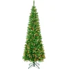 Clearance National Tree Company 7.5 ft. Pre-Lit Rowan Pencil Slim Tree with Multicolor Lights