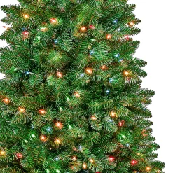 Hot National Tree Company 6 ft. Pre-Lit Rowan Slim Tree with Multicolor Lights