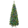 Clearance National Tree Company 6 ft. Pre-Lit Sagamore Slim Tree with Multi LED Lights