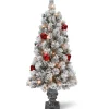 Hot National Tree Company 4 ft. Pre-Lit Snowy Bristle Pine Tree with Clear Lights