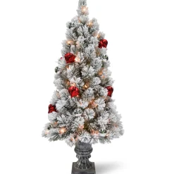 Hot National Tree Company 4 ft. Pre-Lit Snowy Bristle Pine Tree with Clear Lights