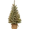 New National Tree Company 3 ft. Pre-Lit Snowy Concolor Fir Tree with LED Lights